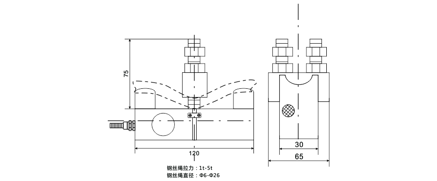 旁壓式張力傳感器3